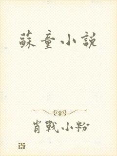 苏童小说
