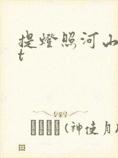提灯照河山txt