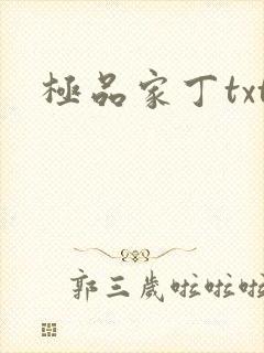 极品家丁txt