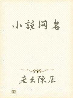 小说网名