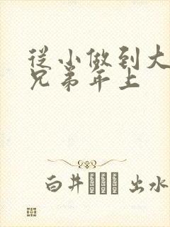 从小做到大骨科兄弟年上