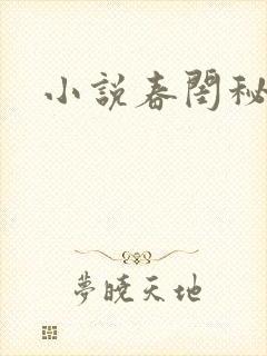 小说春闺秘史封面