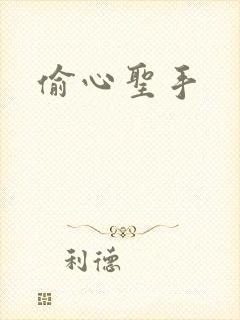 偷心圣手