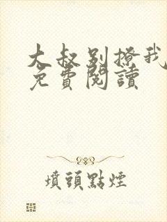 大叔别撩我小说免费阅读