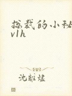 总裁的小秘书1v1h