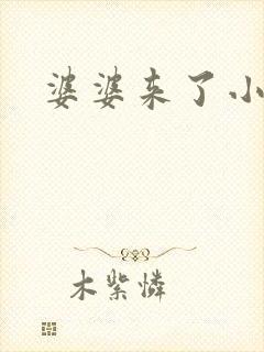 婆婆来了小说