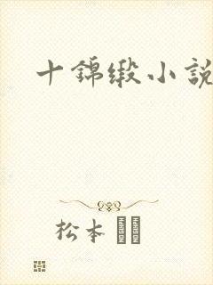 十锦缎小说