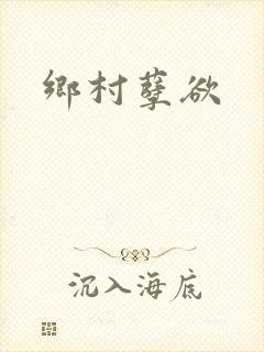 乡村孽欲封面
