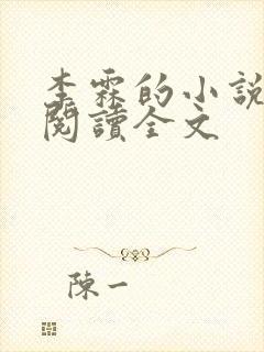 李霖的小说免费阅读全文封面