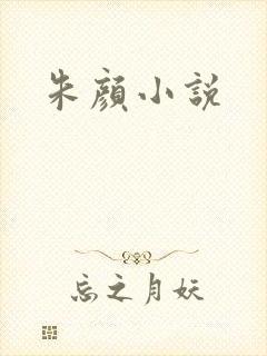 朱颜小说封面