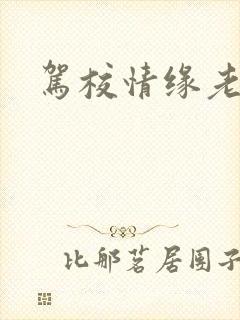 驾校情缘老赵