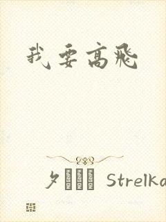 我要高飞