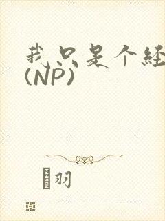 我只是个经纪人(NP)封面