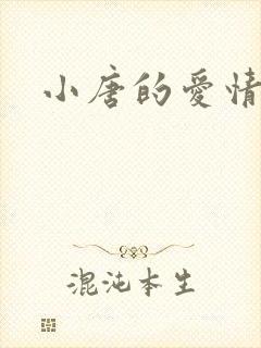 小唐的爱情史
