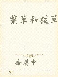 系草和校草封面