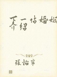 下一站婚姻剧情介绍