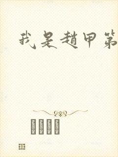 我是赵甲第小说