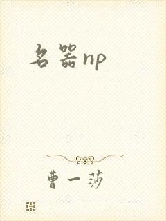 名器np