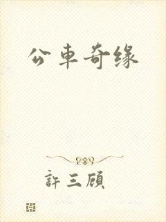 公车奇缘