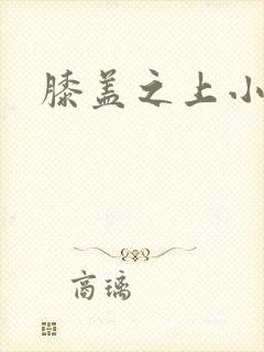 膝盖之上小说