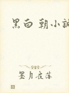 黑白 朝小诚