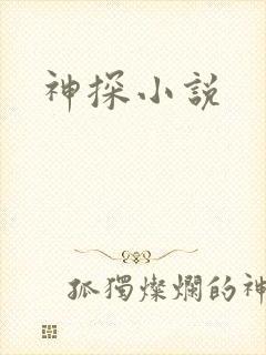 神探小说