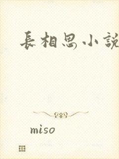 长相思小说原著