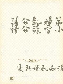 荡公乱妇第1章情公苏雪小说