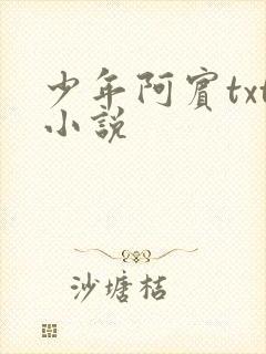 少年阿宾txt小说
