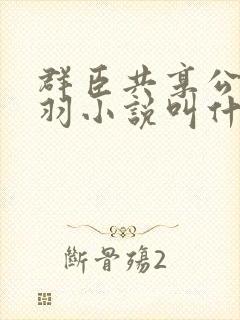 群臣共享公主银羽小说叫什么