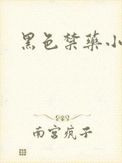黑色禁药小说封面