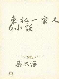 东北一家人1一6小说