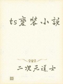 ts变装小说