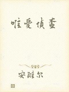 唯爱侦查
