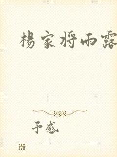 杨家将雨露均沾封面