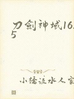 刀剑神域16.5