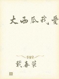 大西瓜我爱你封面