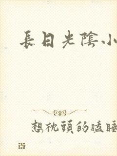 长日光阴小说