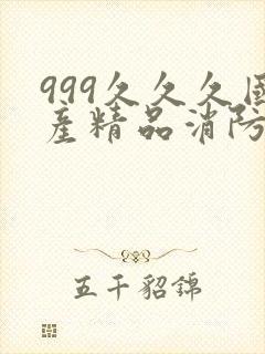 999久久久国产精品消防器材