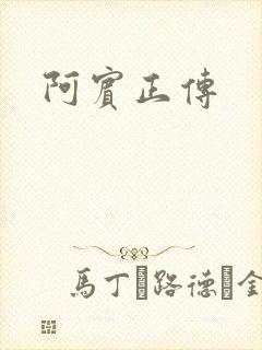 阿宾正传