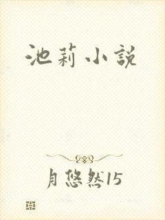 池莉小说封面