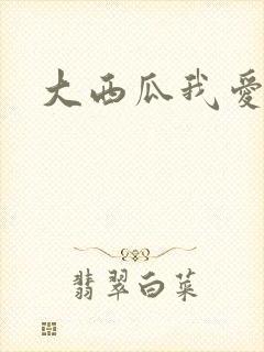 大西瓜我爱你封面