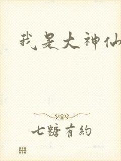 我是大神仙小说