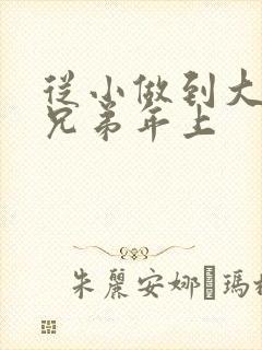 从小做到大骨科兄弟年上