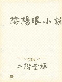 阴阳眼小说封面