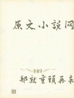 原文小说网