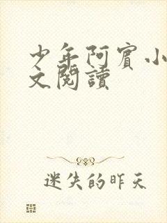 少年阿宾小说全文阅读
