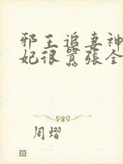 邪王追妻神医狂妃很嚣张全文免费