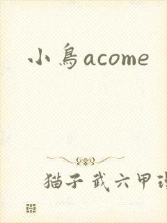 小鸟acome封面