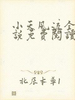 小天风流全集小说免费阅读封面